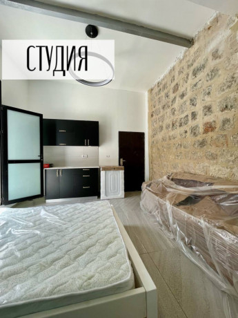 novaia-kvartira-studiia-so-svoei-licnoi-ginoi-big-0