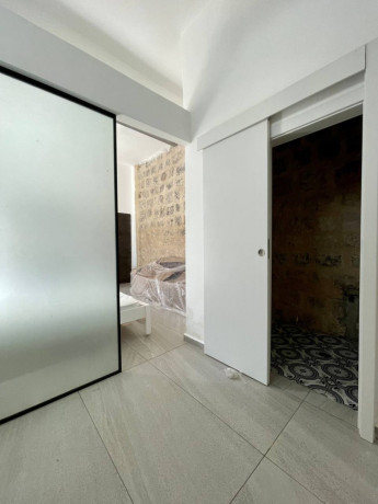 novaia-kvartira-studiia-so-svoei-licnoi-ginoi-big-3