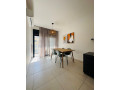sikarnaia-2-x-kom-kvartira-v-novom-dome-small-2