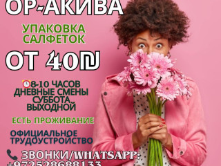 rabota-na-zavode-po-upakovke-salfetok